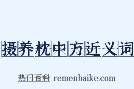 摄养枕中方近义词是什么意思的图片